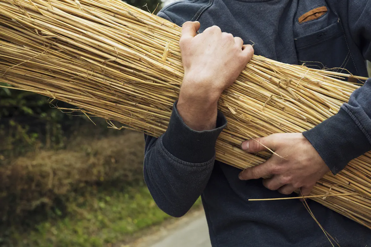Un homme qui tient des canisses pour une pergola