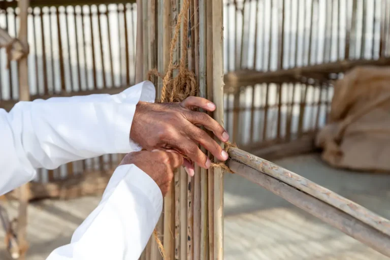 Une personne qui fixe canisse sur pergola