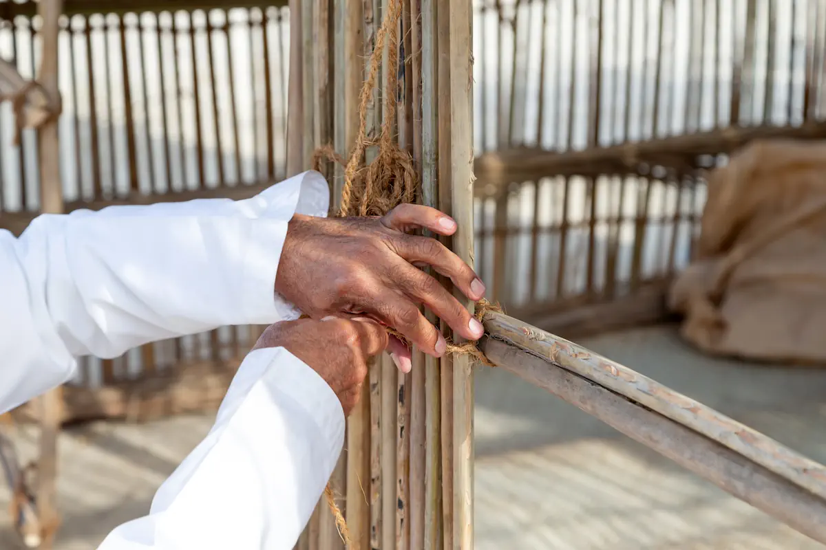 Une personne qui fixe canisse sur pergola